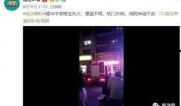 爆料视频现场版,爆料视频揭秘惊人真相