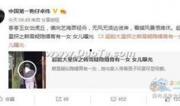 卓伟爆料吴大叔视频播放,揭秘背后真相