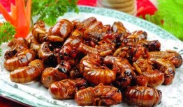 香肠最新占卜爆料图片