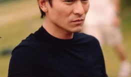 刘德华秘事爆料视频网址,揭秘巨星背后的不为人知故事