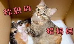 向死而生二狗最新爆料是哪一集,揭秘哪一集引发热议